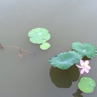 艺术家头像