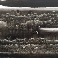 艺术家作品