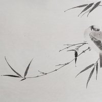 艺术家作品