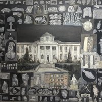 艺术家作品