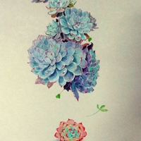 艺术家作品