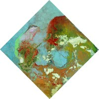 艺术家作品