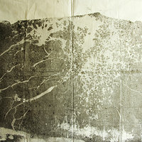 艺术家作品