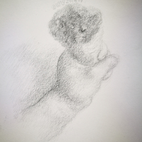 艺术家作品