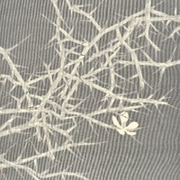艺术家作品