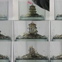 艺术家作品