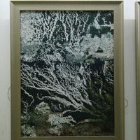 艺术家作品