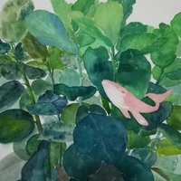 艺术家作品