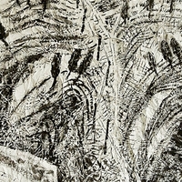 艺术家作品