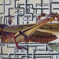 艺术家作品