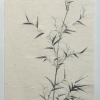艺术家作品