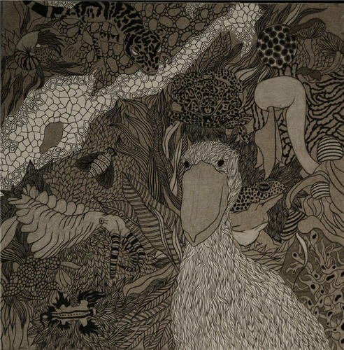 《雪鸟》