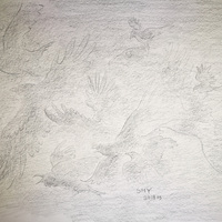 艺术家作品
