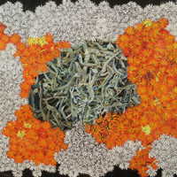 艺术家作品
