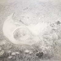 艺术家作品