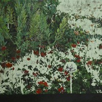 艺术家作品