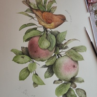 艺术家作品