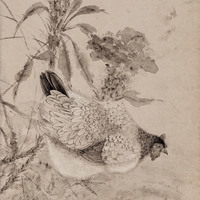艺术家作品