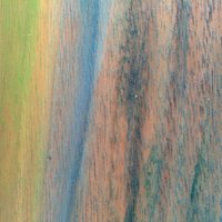 艺术家作品