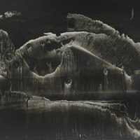 艺术家作品