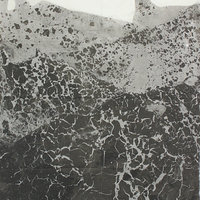 艺术家作品
