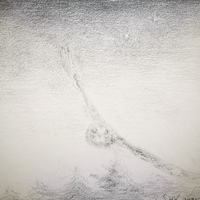 艺术家作品