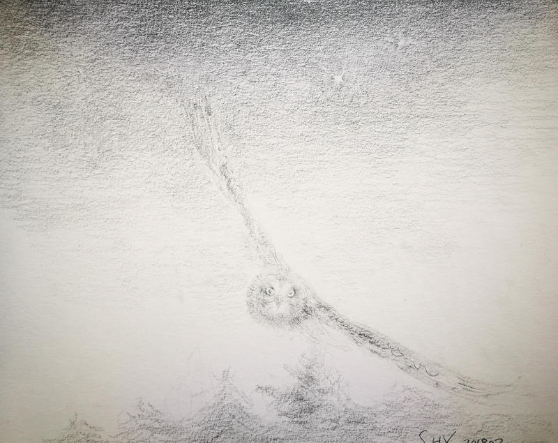 隼