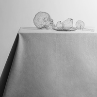 艺术家作品