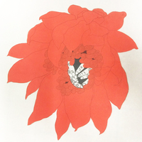 艺术家作品
