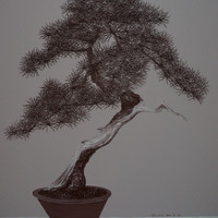艺术家作品