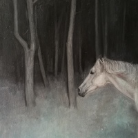 艺术家作品