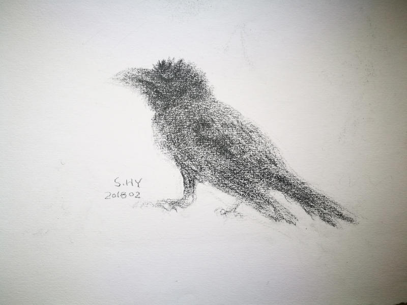 鸦3