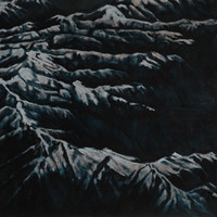 艺术家作品