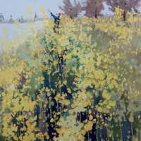 艺术家作品