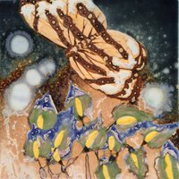艺术家作品