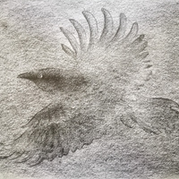 艺术家作品