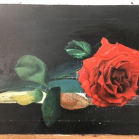艺术家作品