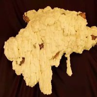 艺术家作品