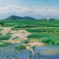艺术家作品
