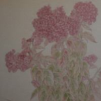 艺术家作品