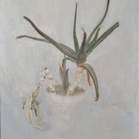 艺术家作品