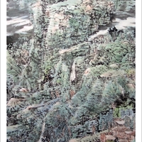 艺术家作品