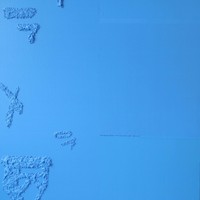艺术家作品