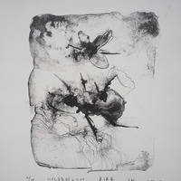 艺术家作品