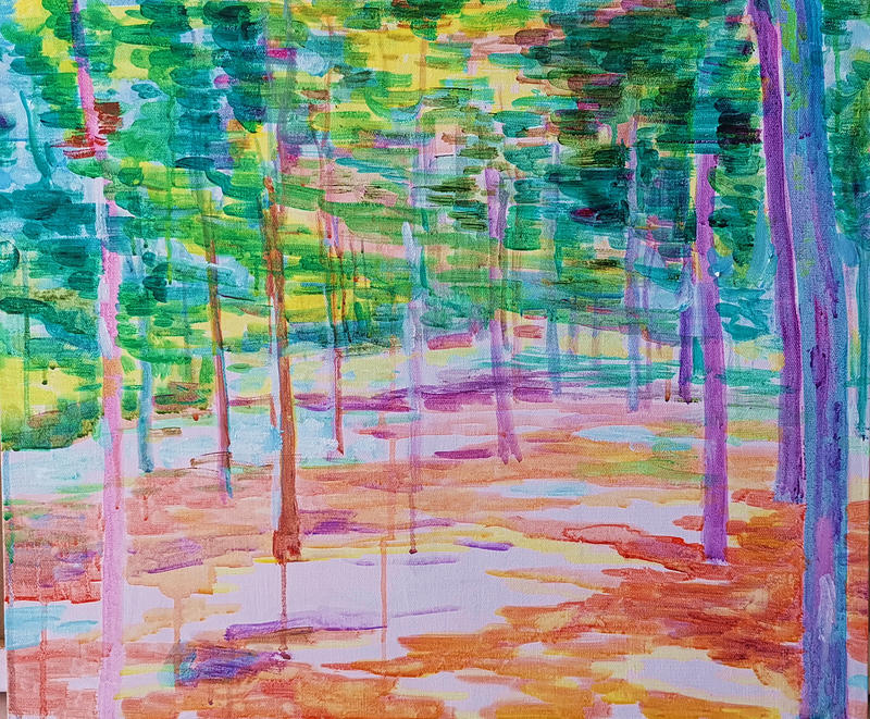 阳光照进树林里4