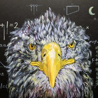 艺术家作品