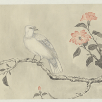 艺术家作品