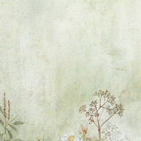 艺术家作品