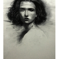 艺术家作品