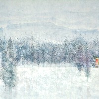 艺术家作品